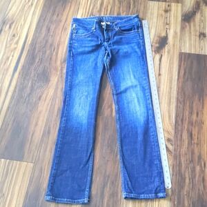 Banana Republic Blue Jeans Classic Straight Leg